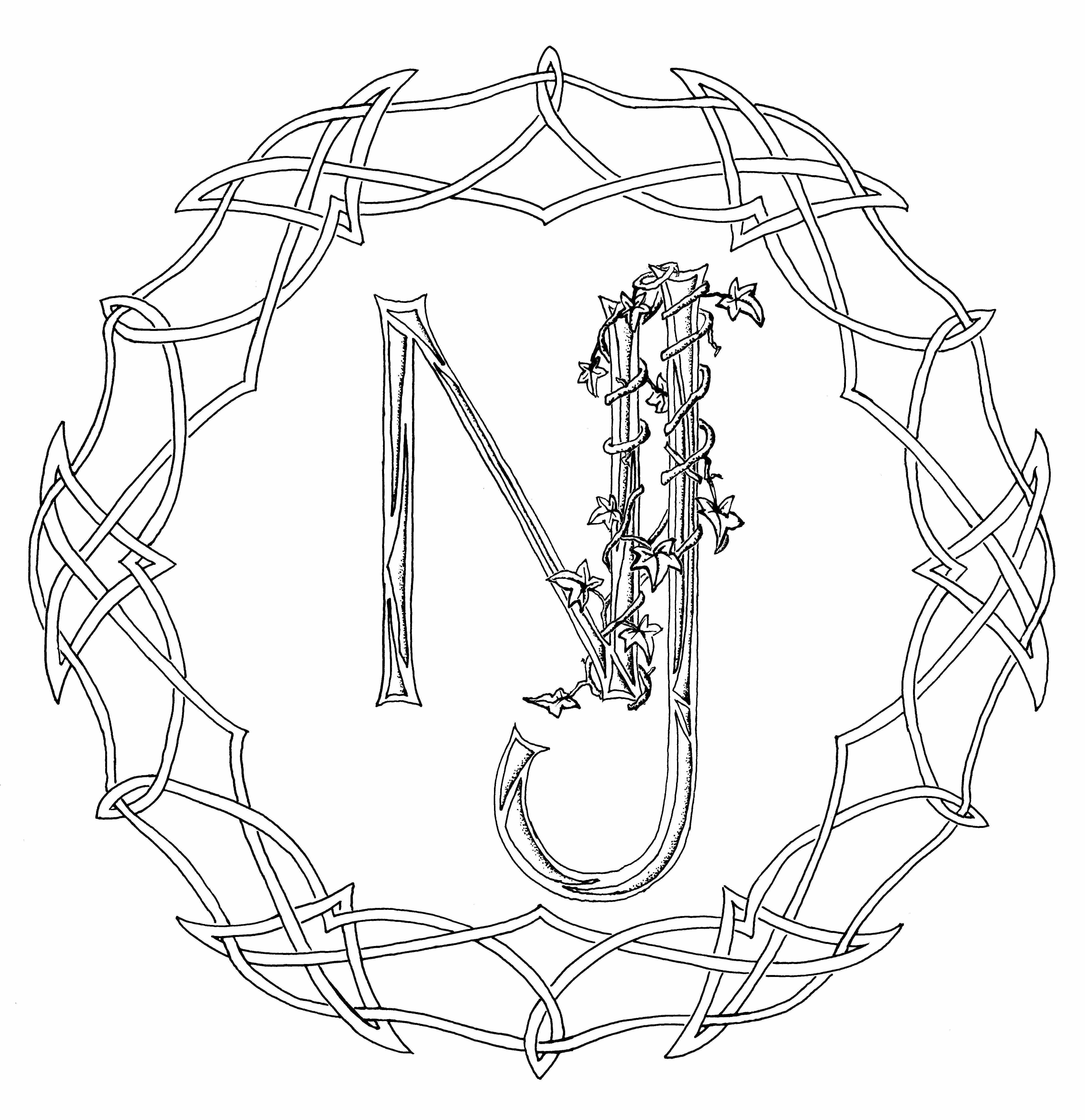 logo_n_et_j_lierre_et_lettre_glw.jpg