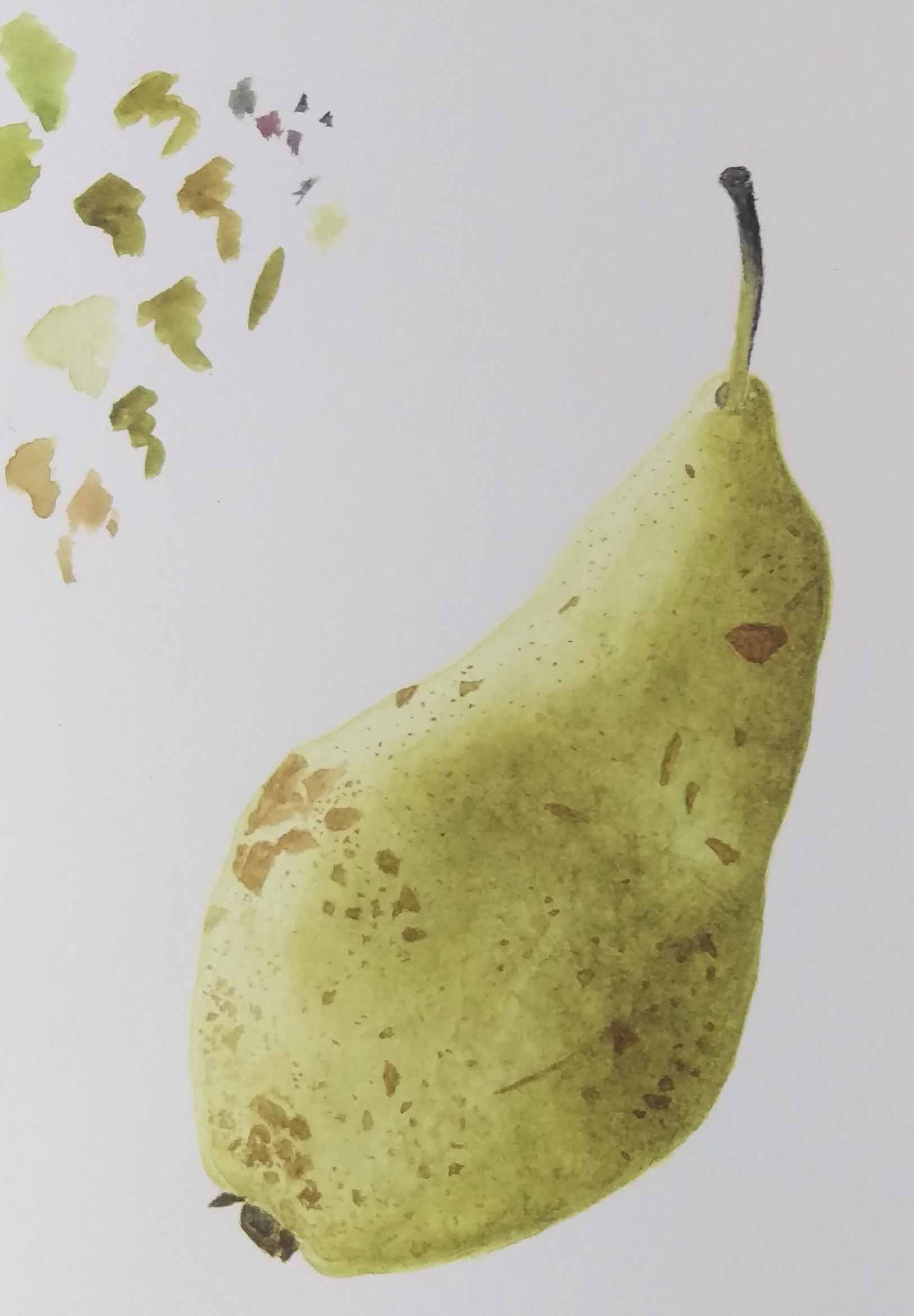 pore_photo_watercolour_glw